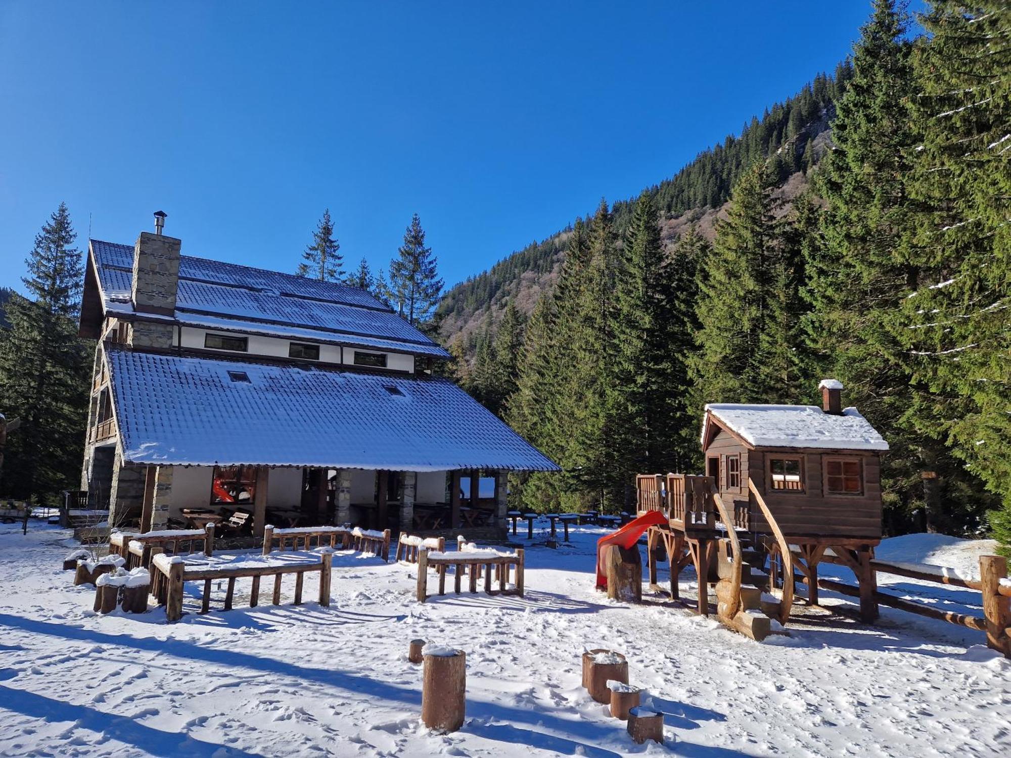 Cabana Conacul Ursului Cumpana  Экстерьер фото