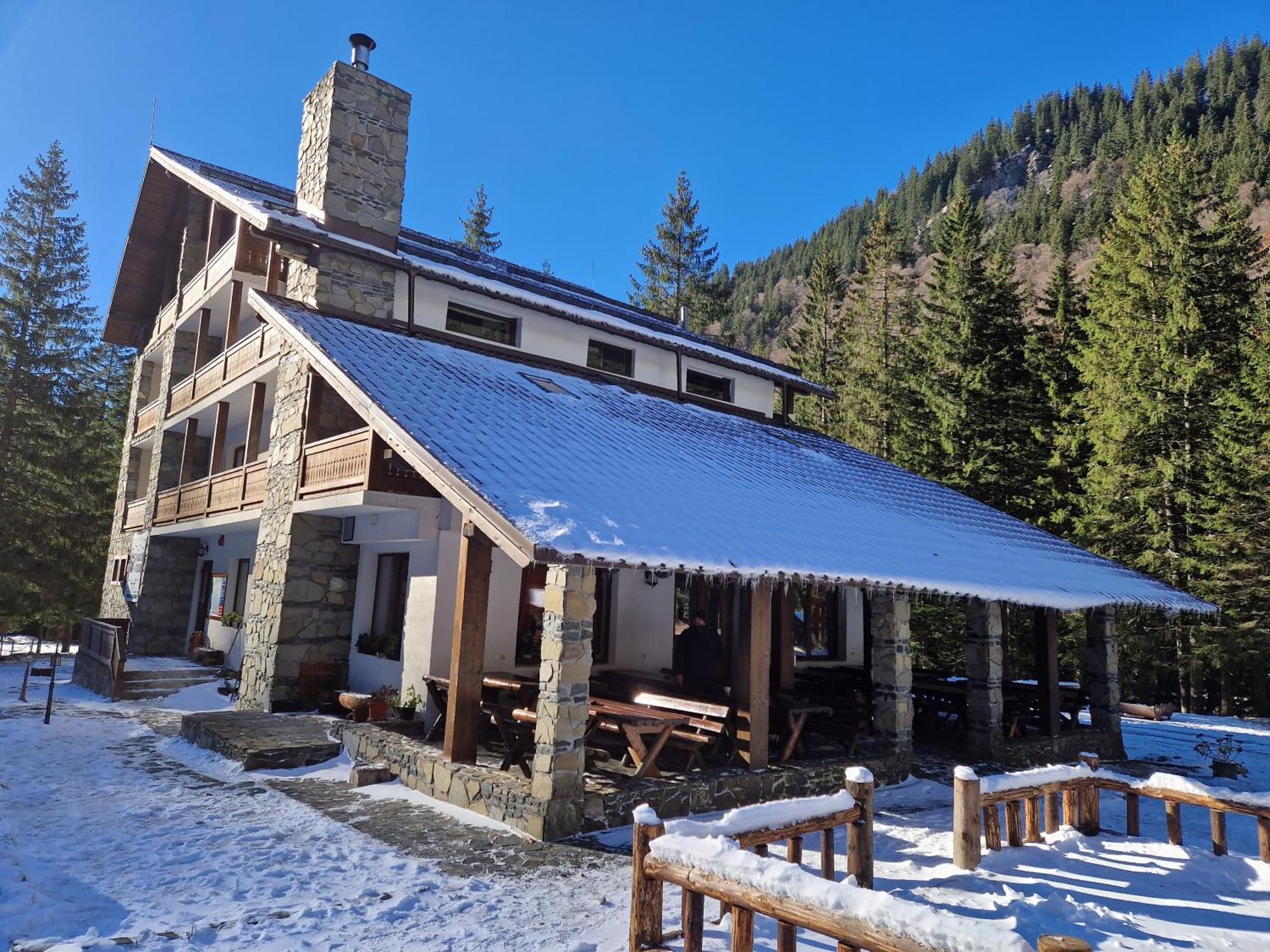 Cabana Conacul Ursului Cumpana  Экстерьер фото